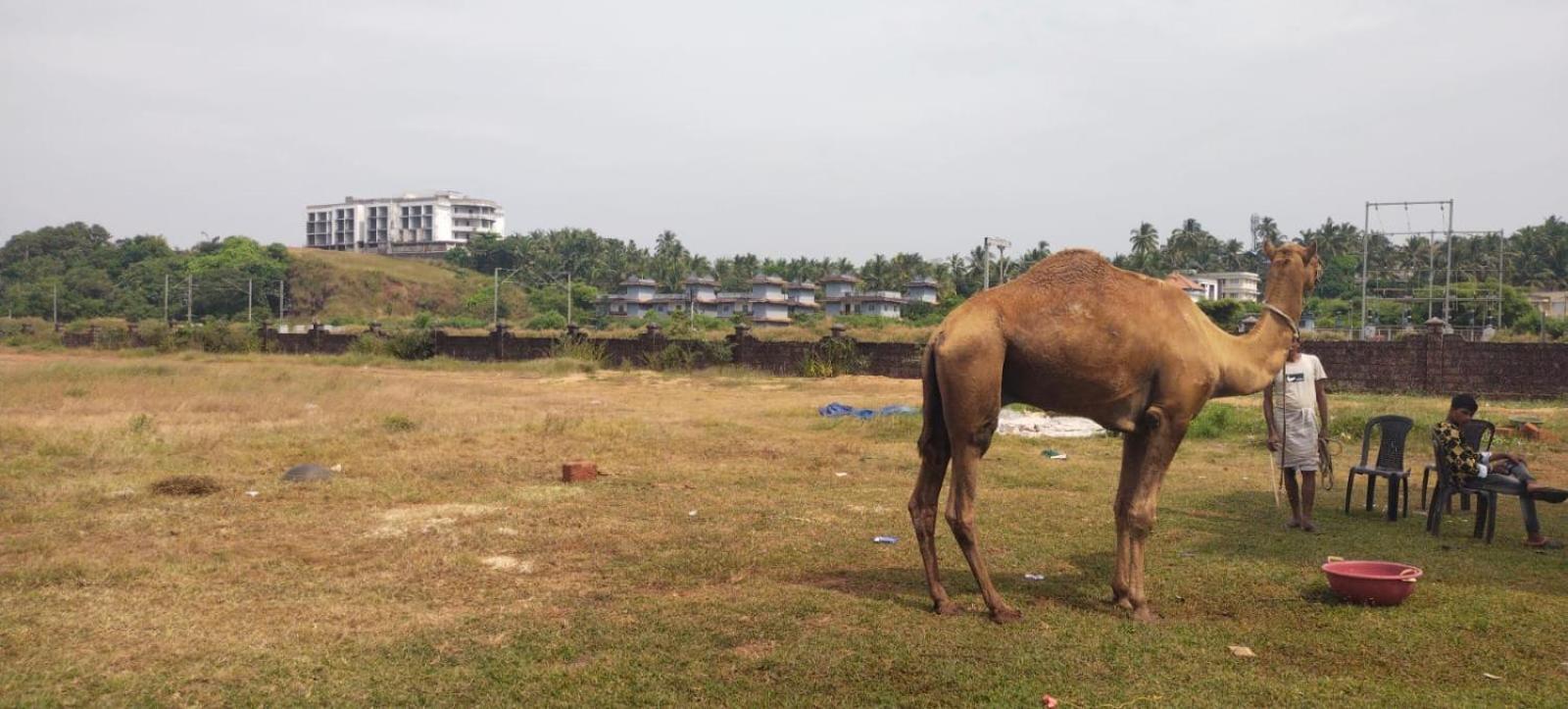 Bekal Fort Beach Resorts Bekal Town Buitenkant foto