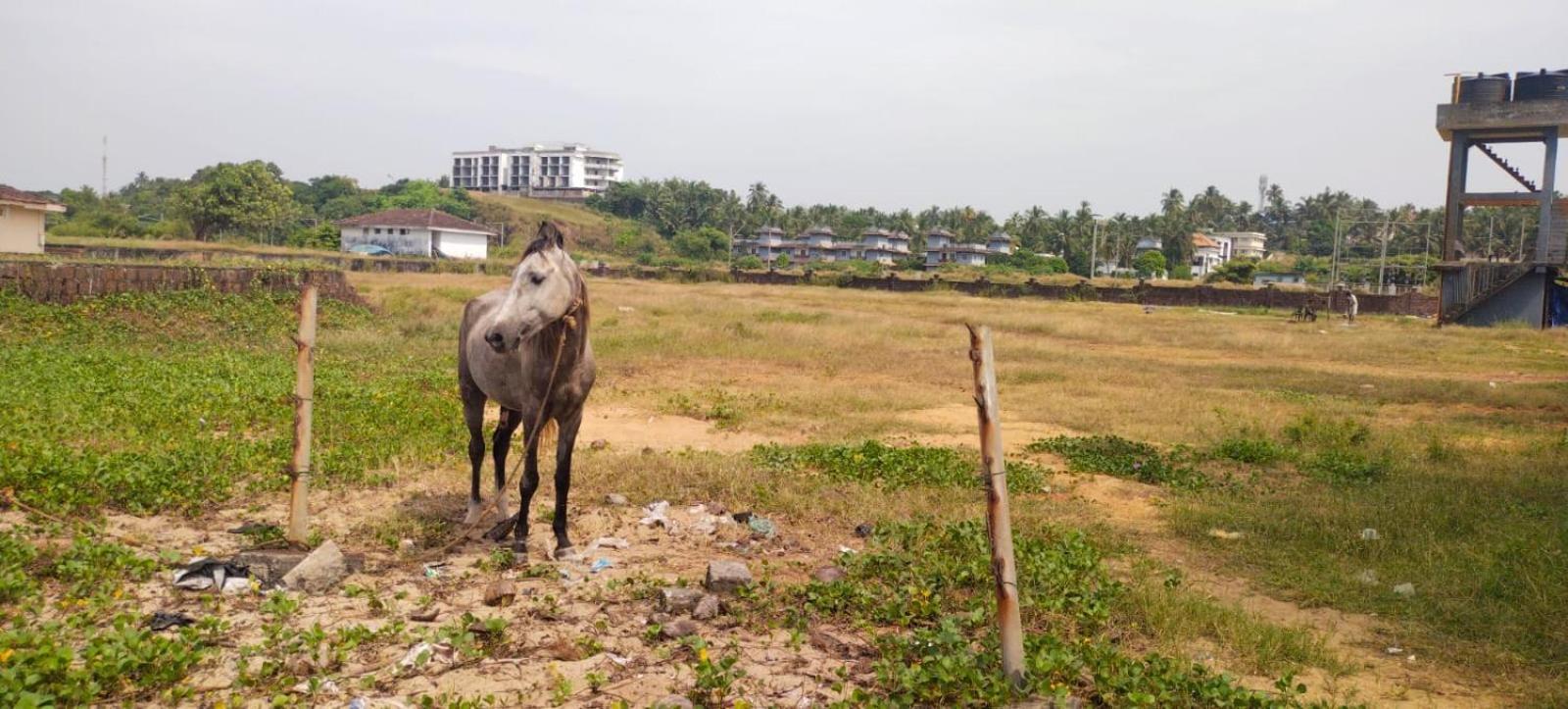 Bekal Fort Beach Resorts Bekal Town Buitenkant foto
